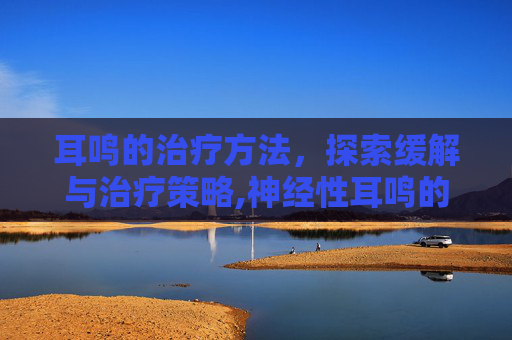 耳鸣的治疗方法，探索缓解与治疗策略,神经性耳鸣的治疗方法