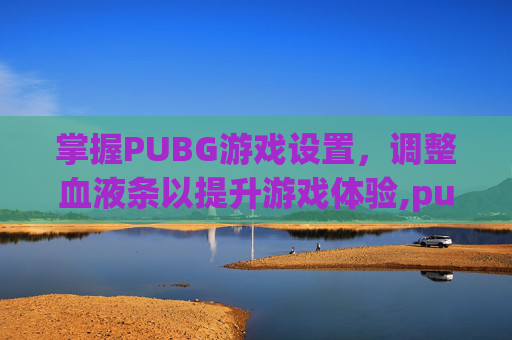 掌握PUBG游戏设置，调整血液条以提升游戏体验,pubg怎么让血更明显