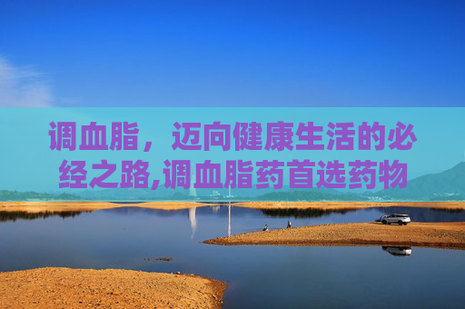 调血脂，迈向健康生活的必经之路,调血脂药首选药物