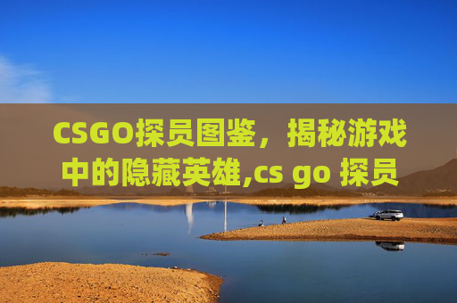 CSGO探员图鉴，揭秘游戏中的隐藏英雄,cs go 探员