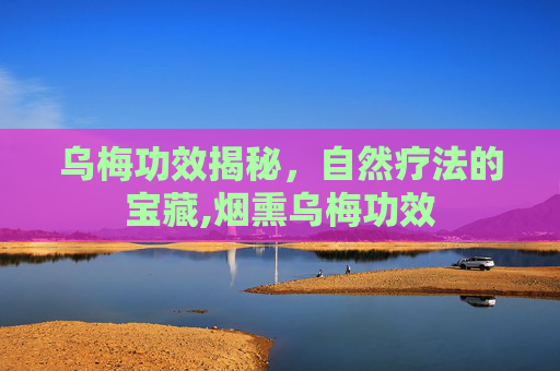 乌梅功效揭秘，自然疗法的宝藏,烟熏乌梅功效