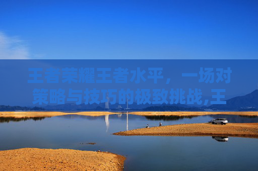 王者荣耀王者水平，一场对策略与技巧的极致挑战,王者荣耀王者水平怎么提升