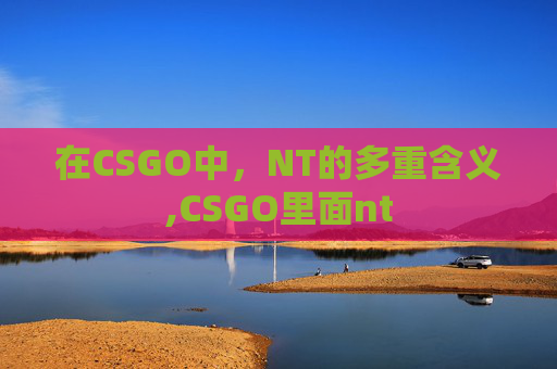 在CSGO中，NT的多重含义,CSGO里面nt
