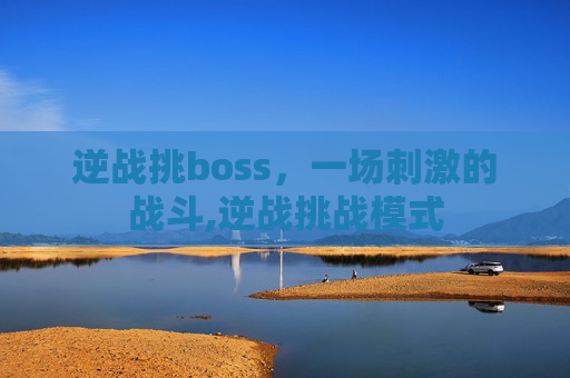 逆战挑boss，一场刺激的战斗,逆战挑战模式