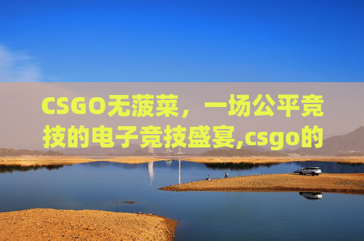CSGO无菠菜，一场公平竞技的电子竞技盛宴,csgo的菠菜是什么意思