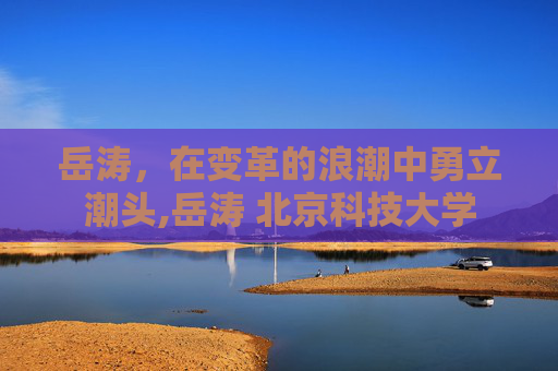 岳涛，在变革的浪潮中勇立潮头,岳涛 北京科技大学
