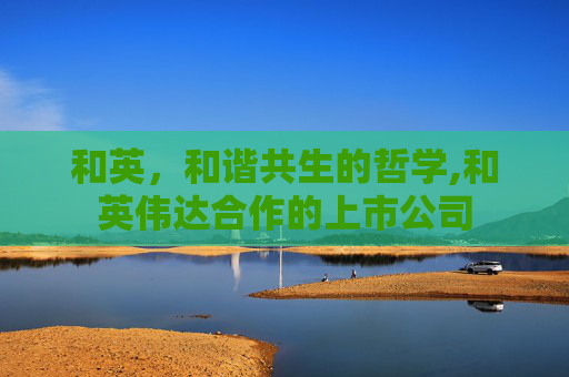 和英，和谐共生的哲学,和英伟达合作的上市公司