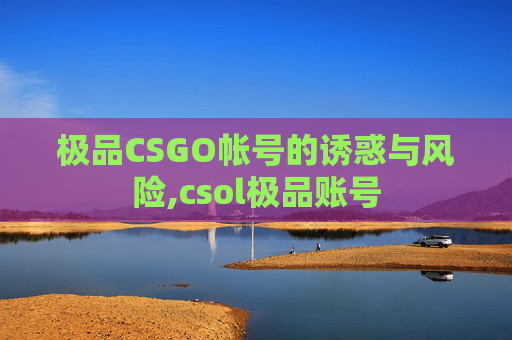 极品CSGO帐号的诱惑与风险,csol极品账号
