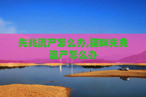 先兆流产怎么办,猫咪先兆流产怎么办