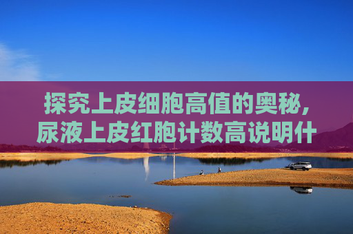探究上皮细胞高值的奥秘,尿液上皮红胞计数高说明什么