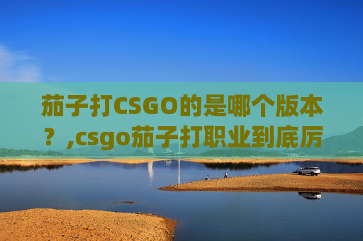 茄子打CSGO的是哪个版本？,csgo茄子打职业到底厉不厉害