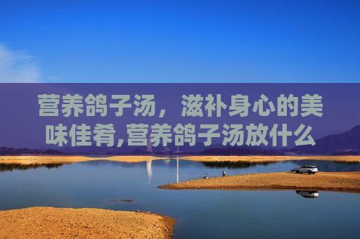 营养鸽子汤，滋补身心的美味佳肴,营养鸽子汤放什么材料