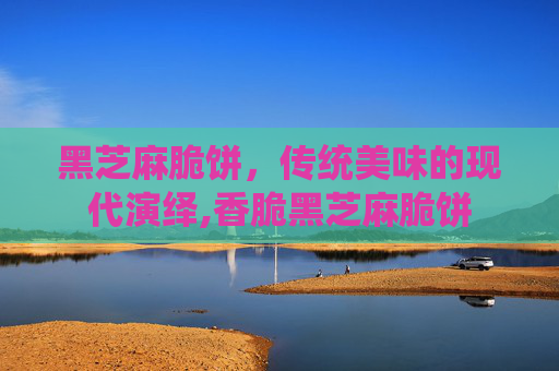 黑芝麻脆饼，传统美味的现代演绎,香脆黑芝麻脆饼