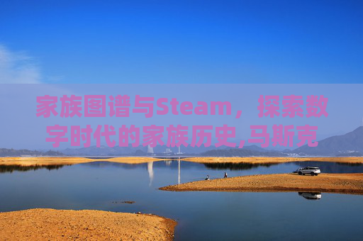 家族图谱与Steam，探索数字时代的家族历史,马斯克家族图谱