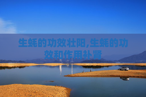 生蚝的功效壮阳,生蚝的功效和作用补肾