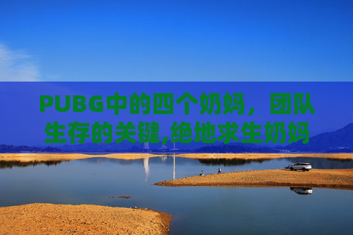 PUBG中的四个奶妈，团队生存的关键,绝地求生奶妈怎么举盾