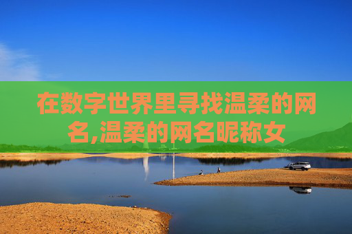在数字世界里寻找温柔的网名,温柔的网名昵称女