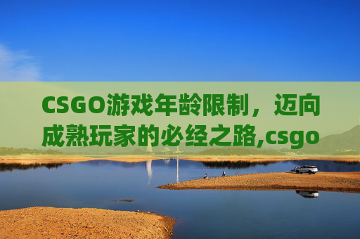 CSGO游戏年龄限制，迈向成熟玩家的必经之路,csgo必须满18岁吗?