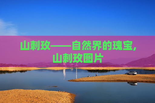 山刺玫——自然界的瑰宝,山刺玫图片
