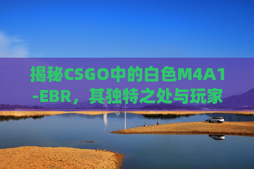 揭秘CSGO中的白色M4A1-EBR，其独特之处与玩家偏好,csgo白色枪