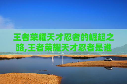 王者荣耀天才忍者的崛起之路,王者荣耀天才忍者是谁