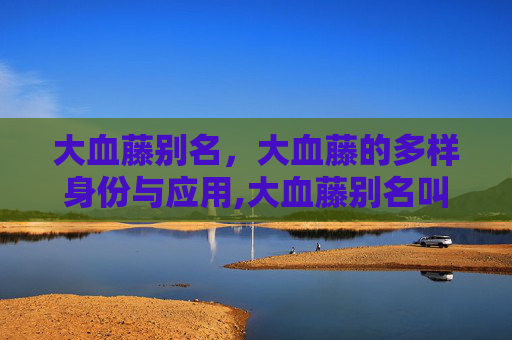 大血藤别名，大血藤的多样身份与应用,大血藤别名叫什么