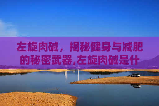 左旋肉碱，揭秘健身与减肥的秘密武器,左旋肉碱是什么提取的