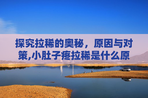 探究拉稀的奥秘，原因与对策,小肚子疼拉稀是什么原因引起的
