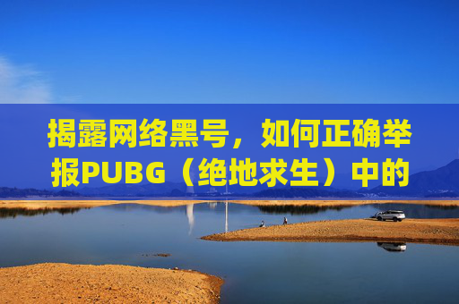 揭露网络黑号，如何正确举报PUBG（绝地求生）中的非法账号,pubglite黑号