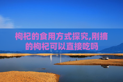 枸杞的食用方式探究,刚摘的枸杞可以直接吃吗