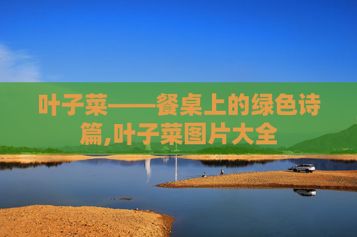 叶子菜——餐桌上的绿色诗篇,叶子菜图片大全