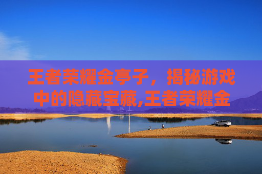 王者荣耀金亭子，揭秘游戏中的隐藏宝藏,王者荣耀金仔