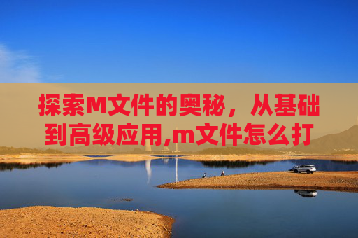 探索M文件的奥秘，从基础到高级应用,m文件怎么打开