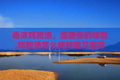 香浓鸡翅汤，温暖你的味蕾,鸡翅汤怎么炖好喝又营养