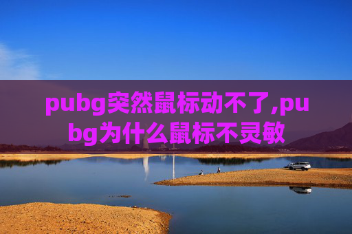 pubg突然鼠标动不了,pubg为什么鼠标不灵敏