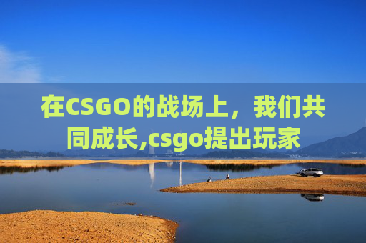 在CSGO的战场上，我们共同成长,csgo提出玩家