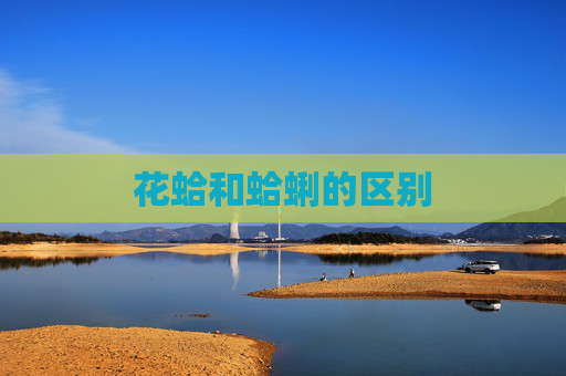 花蛤和蛤蜊的区别