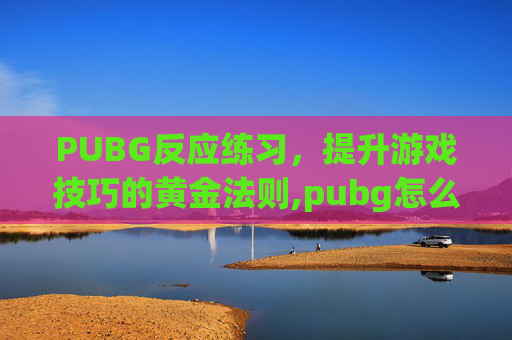 PUBG反应练习，提升游戏技巧的黄金法则,pubg怎么练反应