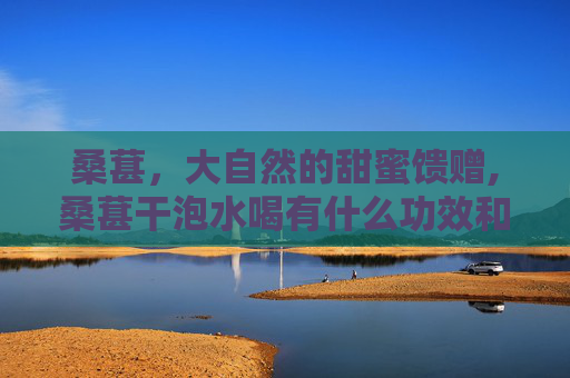 桑葚，大自然的甜蜜馈赠,桑葚干泡水喝有什么功效和作用