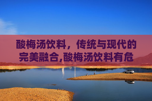 酸梅汤饮料，传统与现代的完美融合,酸梅汤饮料有危害吗