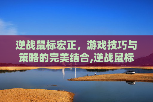 逆战鼠标宏正，游戏技巧与策略的完美结合,逆战鼠标宏什么意思