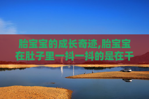 胎宝宝的成长奇迹,胎宝宝在肚子里一抖一抖的是在干嘛