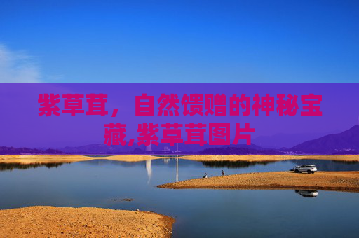 紫草茸，自然馈赠的神秘宝藏,紫草茸图片