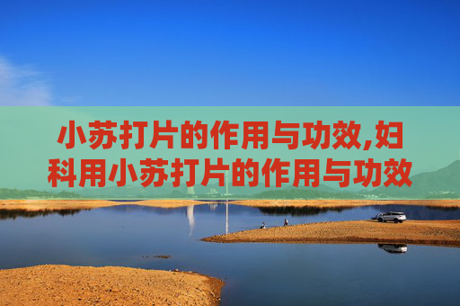 小苏打片的作用与功效,妇科用小苏打片的作用与功效