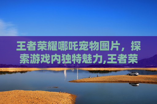 王者荣耀哪吒宠物图片，探索游戏内独特魅力,王者荣耀哪吒宠物图片大全