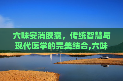 六味安消胶囊，传统智慧与现代医学的完美结合,六味安消胶囊成分