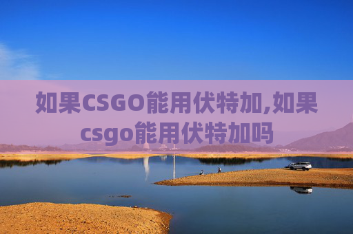如果CSGO能用伏特加,如果csgo能用伏特加吗