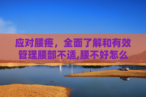 应对腰疼，全面了解和有效管理腰部不适,腰不好怎么办呀