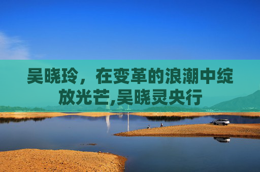 吴晓玲，在变革的浪潮中绽放光芒,吴晓灵央行