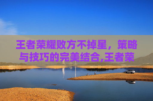 王者荣耀败方不掉星，策略与技巧的完美结合,王者荣耀败方不掉星什么意思